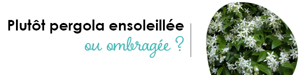 VISUELS RONGEURS3