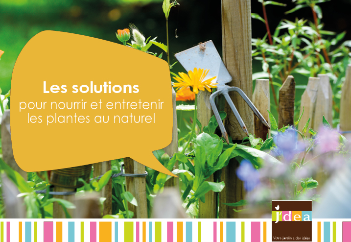 Les solutions pour nourrir et entretenir les plantes au naturel