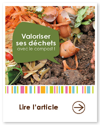 2023 09 VIGNETTES ARTICLES  JARDIN