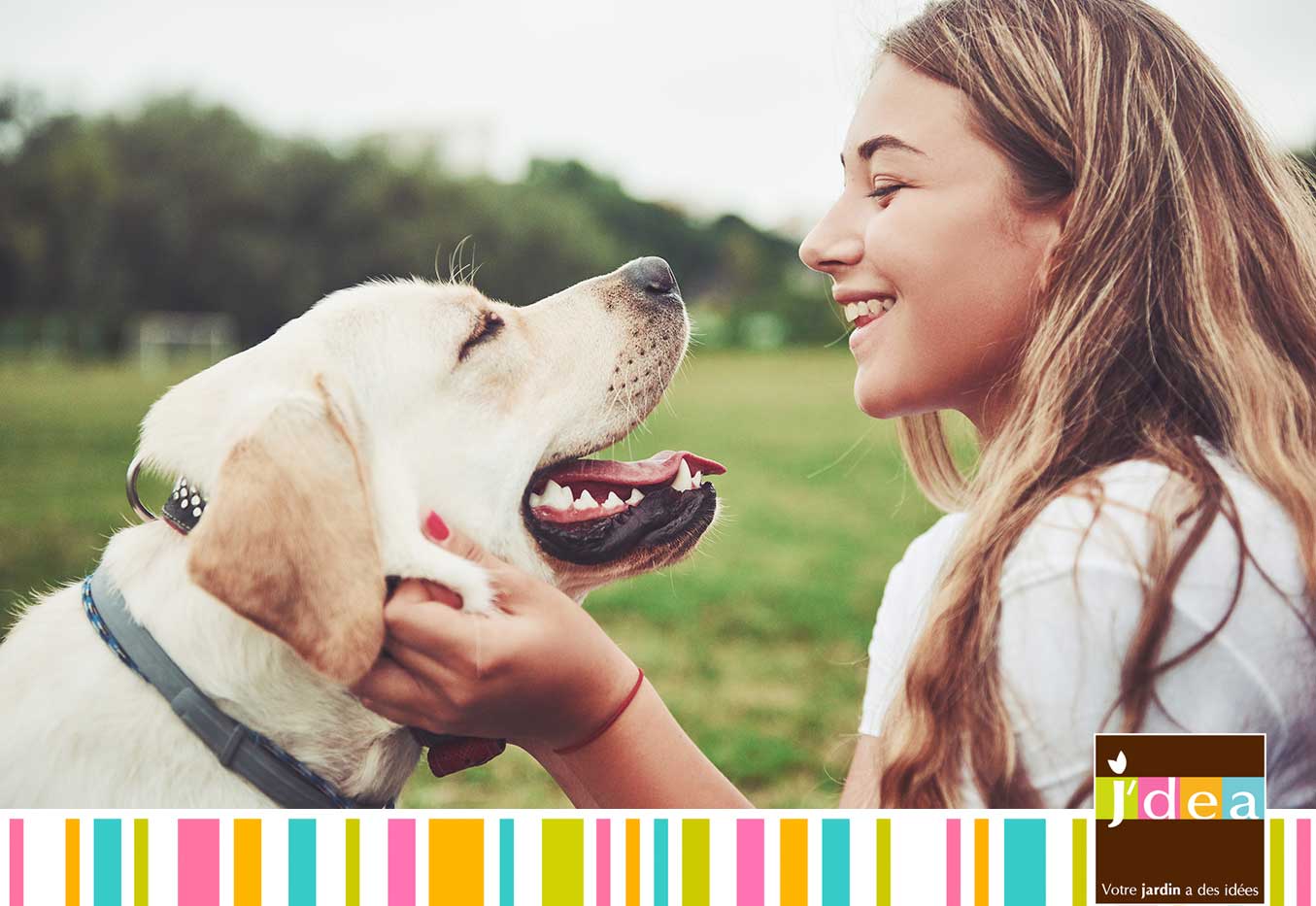 jdea les bienfaits du sport avec son chien